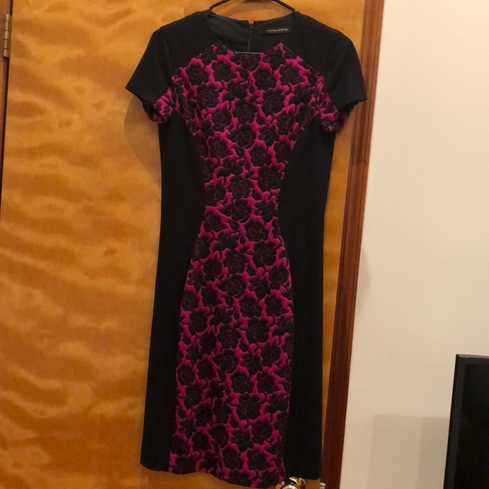 Cynthia Steffe dress. Firm fitting.  Gorgeous cut